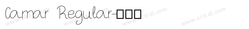 Camar Regular字体转换